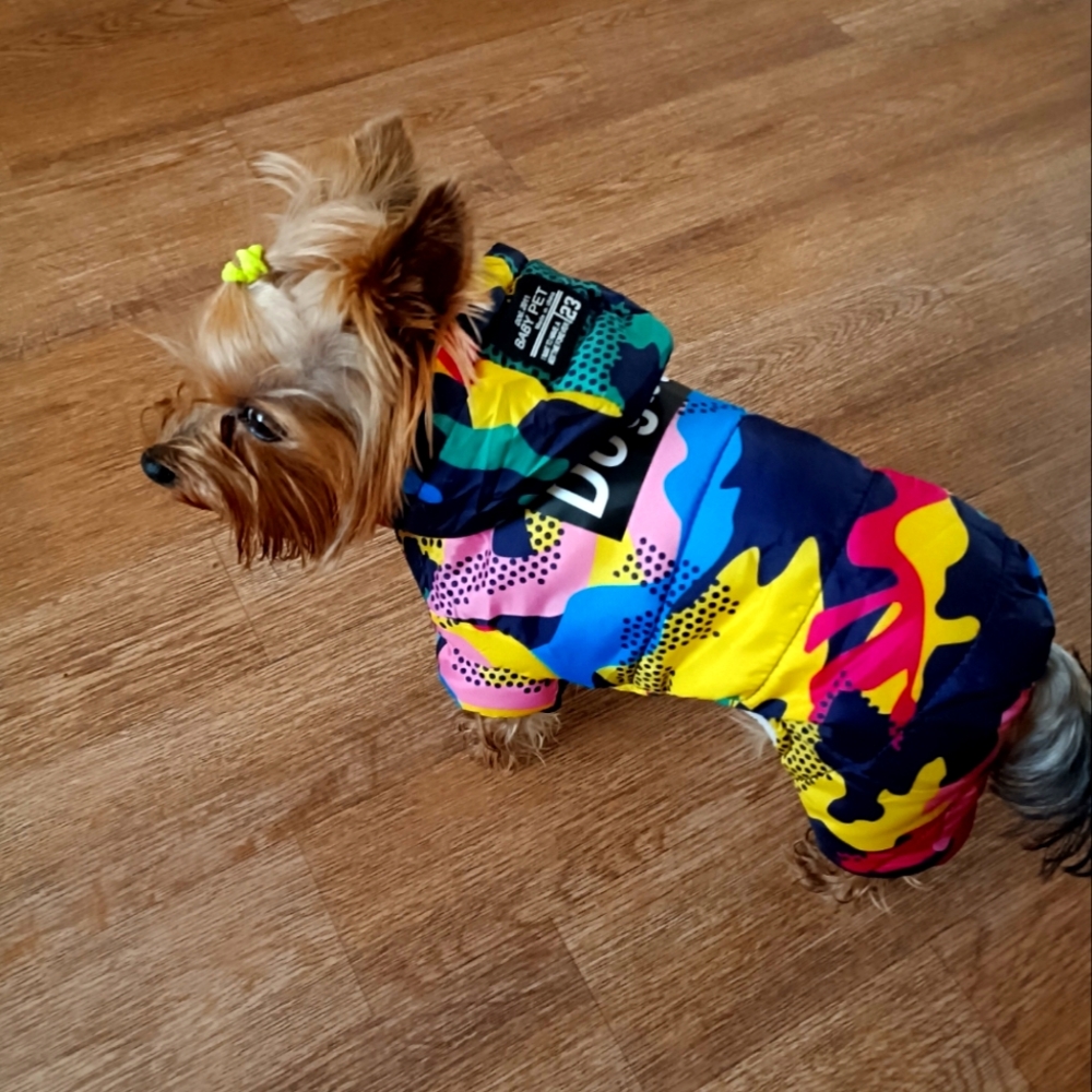 Colorful Dog Hoodie with Graphic Design
